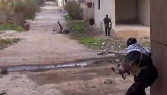 记者爆料叙利亚视频,记者独家爆料震撼视频曝光