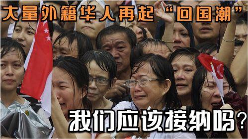 在线观看全球华人,在线观看下的文化交融与情感共鸣