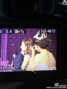 明星小弟爆料视频大全集,揭秘娱乐圈幕后真相