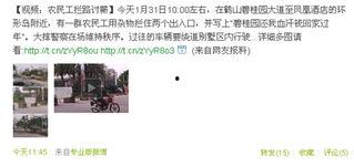 襄阳碧桂园爆料事件视频,揭露背后的真相与争议