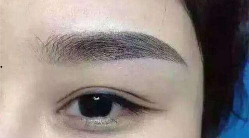 纹绣爆料视频大全下载免费,揭秘行业幕后，免费下载精彩瞬间