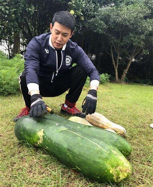 德宏大瓜爆料视频,宏大瓜视频内容深度解析