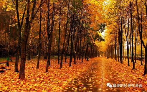 秋天妈妈最新爆料回放,揭秘明星家庭温馨瞬间