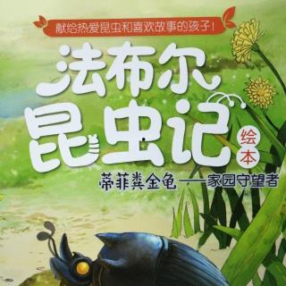 昆虫记在线观看,揭秘昆虫世界的奇妙之旅