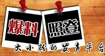 最有效的新闻爆料 平台,最热新闻爆料平台，独家爆料背后的真相