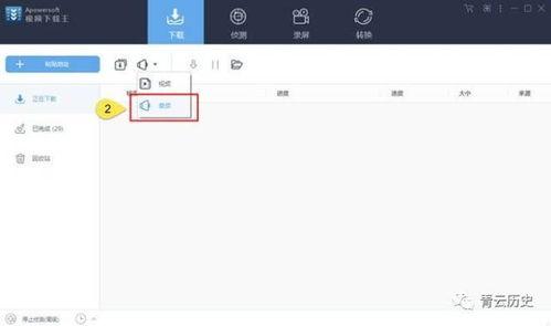 软件爆料视频大全下载网站