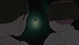 萤火虫在线观看,在线共赏自然之光