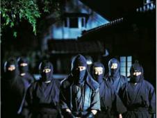 女忍者手游最新爆料视频,神秘忍者技能大揭秘！