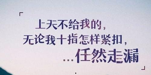 裁员最新爆料文案短句子,揭秘最新爆料背后的真相”