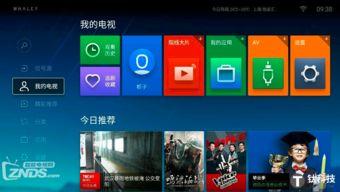 土耳其电视爆料视频大全,揭秘幕后真相