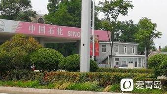 重庆王先生爆料最新,揭秘某神秘事件背后真相