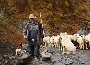 翻山越岭爆料新闻视频,揭秘新闻背后的惊险历程