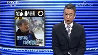 成都新闻频道 爆料,揭秘背后惊人真相！