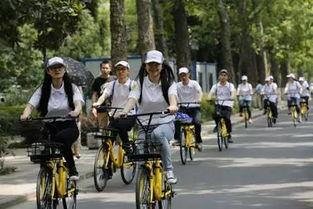 南京骑行团最新爆料视频,探寻古城韵味，共享骑行乐趣